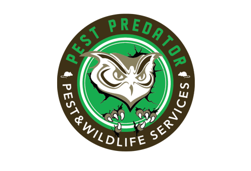 pest predator logo